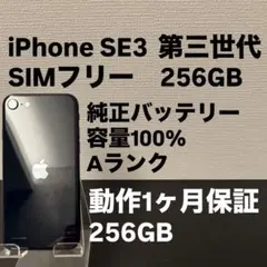極美品 256GB Apple iPhone SE 3 第三世代 ミッドナイト