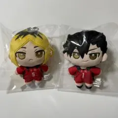 ハイキュー ぬいパル 孤爪研磨 黒尾鉄朗 ①