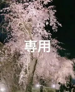 さくらさく様　４月１８日まで限定専用ページ