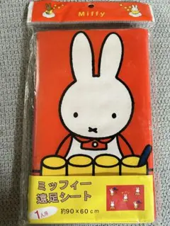 Item thumbnail for item 45eff590-4b44-4b55-9d87-24c5c90b8aec