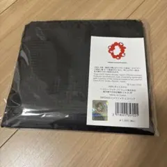 Item thumbnail for item 13b8757c-82c9-45e0-af2a-cb719d3291c9