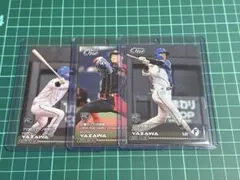 ファイターズ スポーツカード