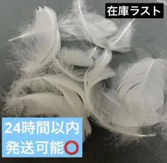 SnowMan スノ 北海道 札幌 落下物 ON 羽 銀テ