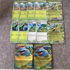 ポケモンカード メガフシギバナex デッキパーツ 計12枚セット 進化ライン