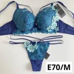 サルート　バハマ　E70/M　KO　67　ビバラインブラ　ソング　タンガ