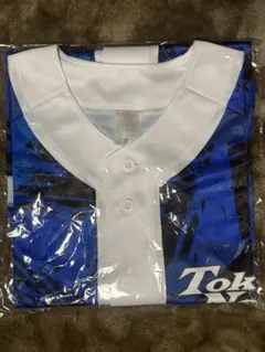 Item thumbnail for item 60f22264-31da-452b-aead-b1853f6fcde4