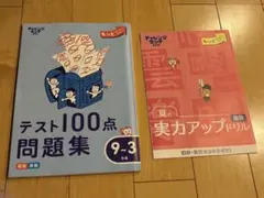 チャレンジタッチ２年生　テキスト2点セット