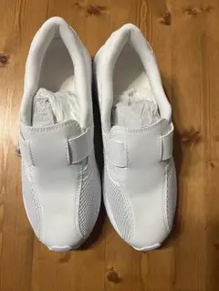 Item thumbnail for item 7e803c64-2c82-45d6-868c-d4ab7250e827