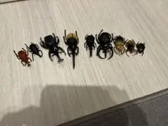 昆虫フィギュア 9体セット