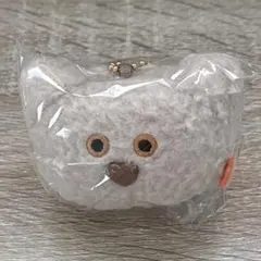 mojojojo フェイスマスコット ガチャ　くま