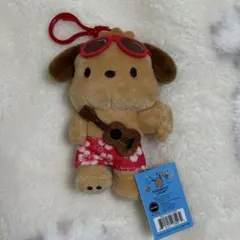 Hawaii ハワイ限定 日焼けポチャッコ