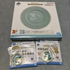 一番くじ ポケモン 30周年記念プレート＆メタルチャームのサムネイル