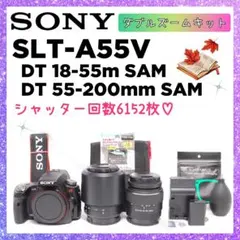 2025年最新】α77の人気アイテム - メルカリ