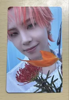 川尻蓮　BE CLASSIC A盤セルカ