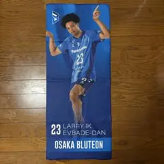 Item thumbnail for item 11d357d8-c887-4612-b031-1409361c7974