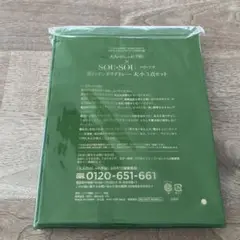 未開封 SOU・SOU 夏のインテリアトレーセット 大人のおしゃれ手帖 付録