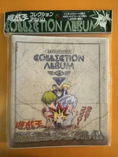 遊戯王 遊城十代 ライト・オブ・デストラクション 英語版 空箱＋販促