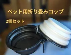 Item thumbnail for item f851e7de-904f-4359-88bf-9877112e5003