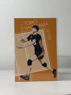 2026年最新】ハイキュー 影山 ポストカードの人気アイテム - メルカリ