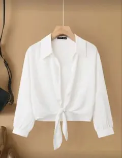 Item thumbnail for item cc413c01-f14c-425b-bab6-9a84fcda4e61