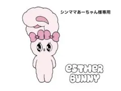 シンママあーちゃん様専用
