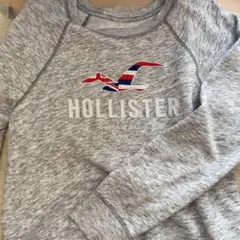 ホリスター　ハワイ　トレーナー　スウェット