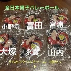 全日本男子バレーボール選手チャーム うちわ型小野寺　大塚　宮浦　山内　富田　永露