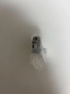 straykids　skzoo　めじるしアクセサリー バンチャン　ウルフチャン