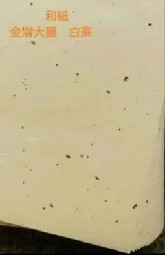 Item thumbnail for item 203f05dd-1d70-44b9-9c85-73b5afdfab12