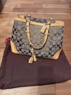 Coach ハンドバッグ ブラウン/ベージュ