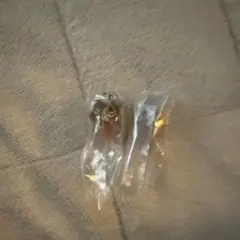 カプセルトイ 2個セット なめこ めじるしアクセサリー なめこ栽培キット ねこ