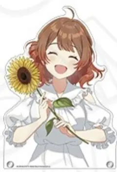 姫崎莉波 学マス 特大ダイカットアクリルボード sunflower ver. 姫崎莉波 学マス 特大ダイカットアクリルボード sunflower ver. - メルカリ