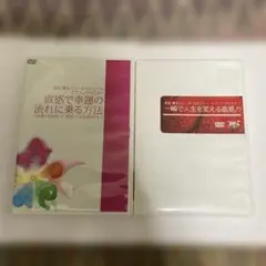 世界的直感コンサルタント　リン　ロビンソン DVD2枚セット‼️