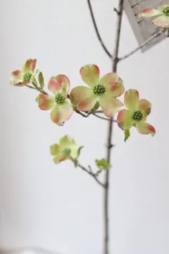 Asami様 リクエスト 2点 まとめ商品