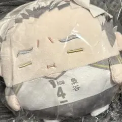 ハイキュー　くじメイト　ぬいくじ　C賞　木兎　E賞　影山　セット