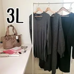 ☆第2弾 まとめ売り☆ 4L 3L レディース アウター セット まとめ