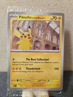 2枚 イギリスロンドン自然史博物館ピカチュウPikachu at the プロモ