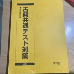 駿台　古典共通テスト対策