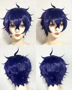 一ノ瀬様 コスプレ ウィッグ オーダー 専用ページ 一ノ瀬様 ウィッグオーダー確認用ページ - メルカリ
