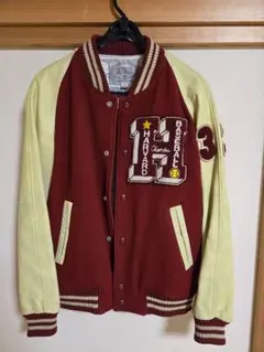 Item thumbnail for item 0c01a6ac-2f11-4d67-aa4b-fd5cd3a4340b