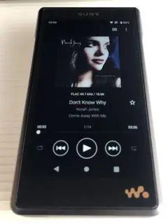 2026年最新】sony nw-wm1am2の人気アイテム - メルカリ