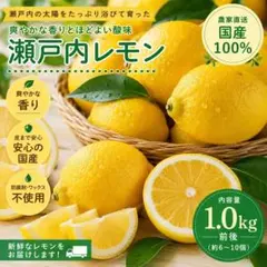 瀬戸内レモン（49のサムネイル