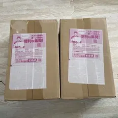 【新品未開封】ポケモンセンター(トウホク　フクオカ)スペシャルBOX 2点セット