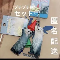 2026年最新】ラッコ メイちゃんの人気アイテム - メルカリ