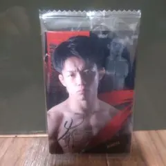 Item thumbnail for item 16b57a85-2744-4f03-a059-be19581789ed