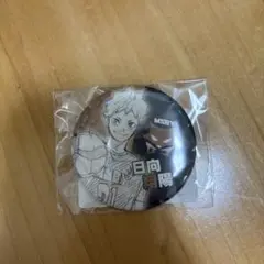 ハイキュー!! 日向翔陽　オールスター缶バッジ