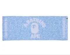 Item thumbnail for item e73b88c5-cdc0-48c3-ac2f-3f545d2b2ba7