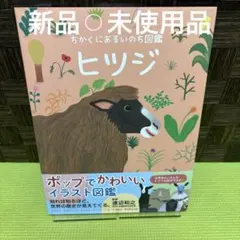 Item thumbnail for item 735a230a-6377-4a28-9e89-d53882c2c4d3