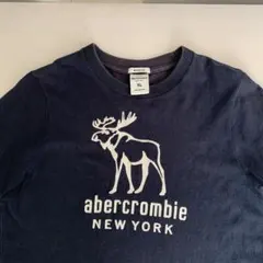 アバクロ　Tシャツ