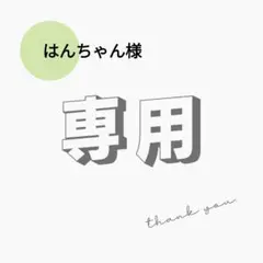 はんちゃん様　10g（1,000p）×2袋